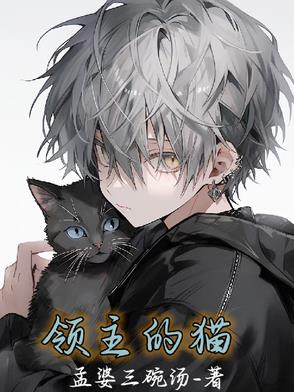 领主的技能介绍